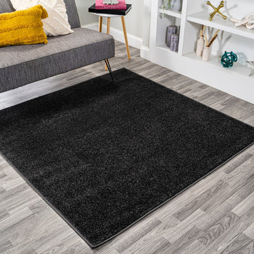 Haze Solid Low-pile Area Rug Black
